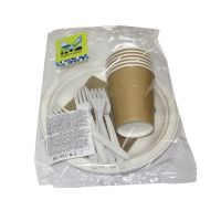 Набор одноразовой посуды "Эко" на 6 персон [6 стак. 250 мл, карт+6 тар. d225 мм, сах.тростник+6 вил.+6 салф.] 10 упак/кор РОССИЯ